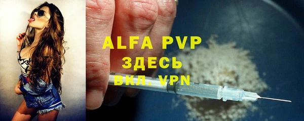 эйфоретик Иннополис