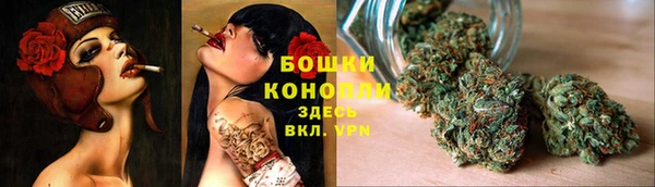 эйфоретик Иннополис