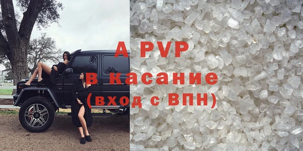 эйфоретик Иннополис