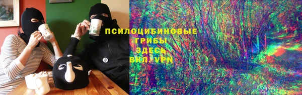 эйфоретик Иннополис