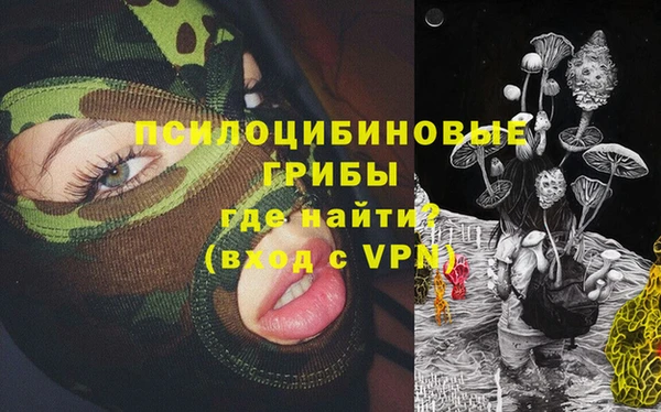 прущая мука Инта