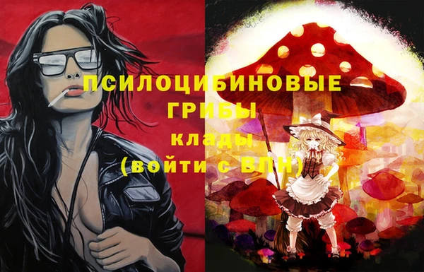 MDMA Инсар